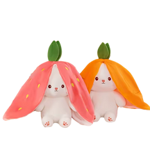 Lapin aux Grandes Oreilles Antiallergique - ACHETEZ 1, RECEVEZ 2 !