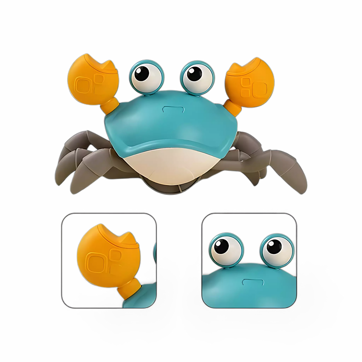 Crabe Fuyant pour Enfants - Il Joue de la Musique en se Déplaçant